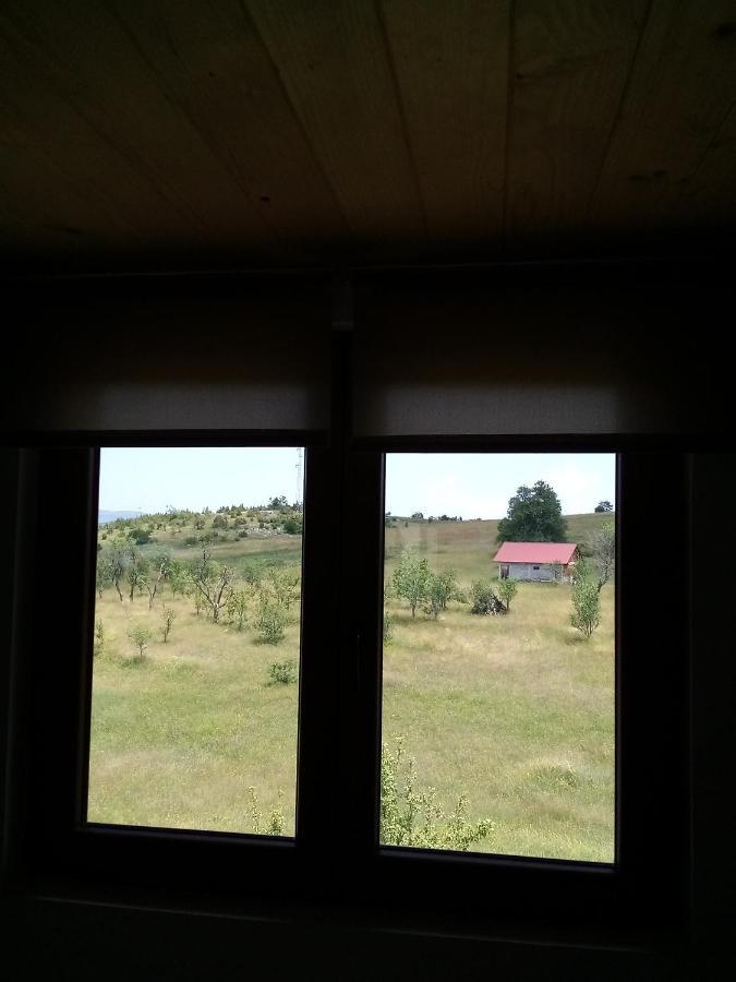 Teodora Uvac * Nova Varos